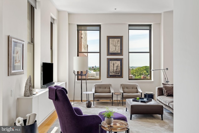 living room with light wood-type flooring and a wealth of natural light