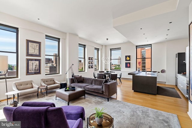 living room featuring light hardwood / wood-style floors and a healthy amount of sunlight