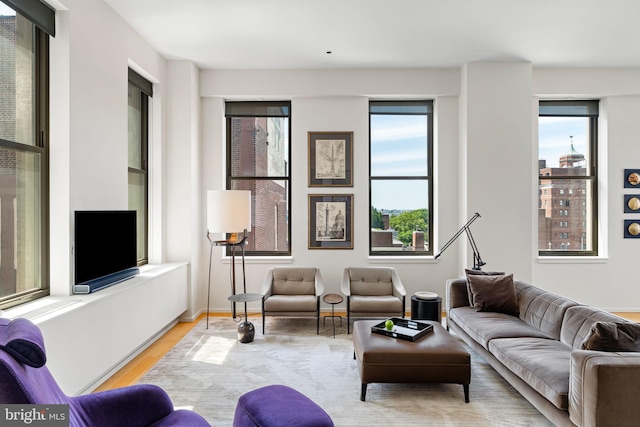 living room featuring light wood-type flooring