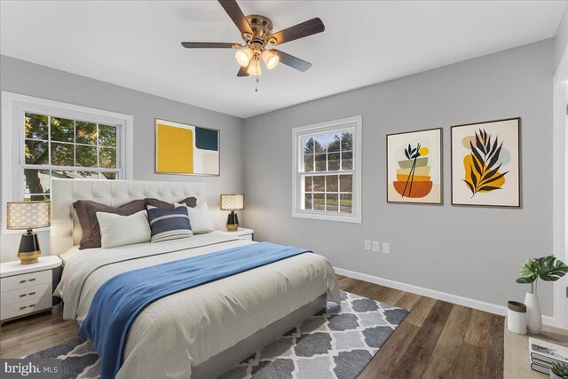 bedroom with multiple windows, dark hardwood / wood-style floors, and ceiling fan