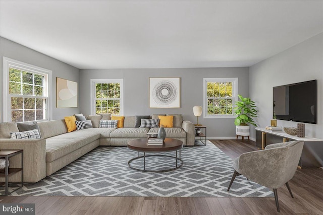 living room with hardwood / wood-style flooring and plenty of natural light