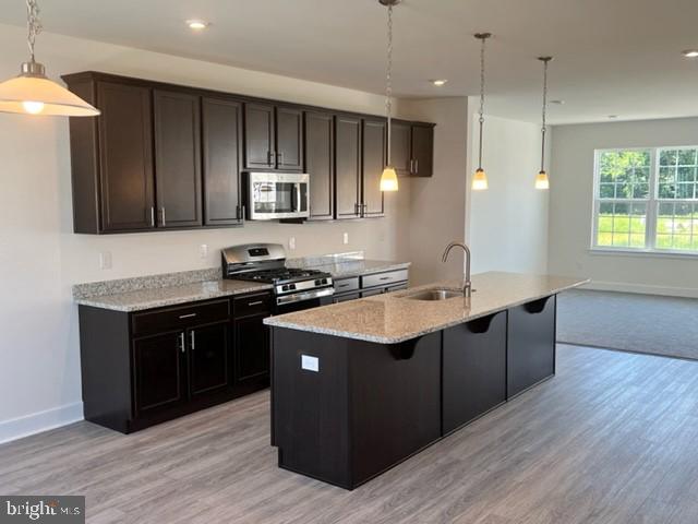 kitchen featuring stainless steel appliances, a kitchen island with sink, light stone countertops, sink, and light hardwood / wood-style flooring