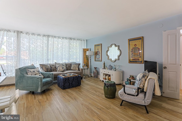 living room with light hardwood / wood-style floors