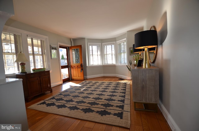 foyer featuring light hardwood / wood-style flooring and a healthy amount of sunlight