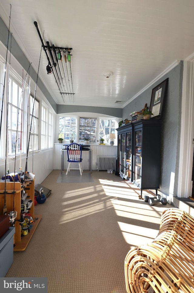 sunroom with radiator