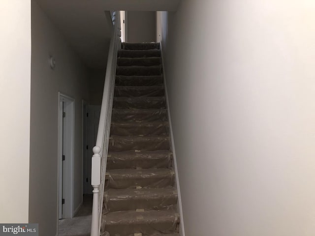 staircase with carpet floors