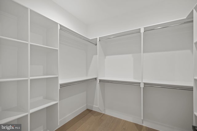 walk in closet featuring wood-type flooring