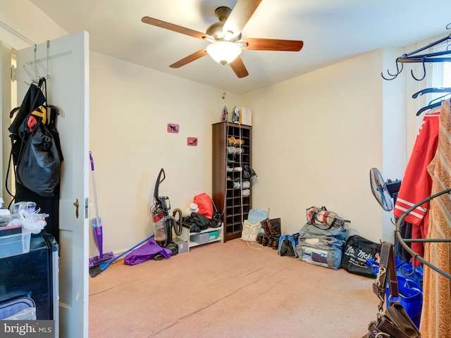 storage room with ceiling fan