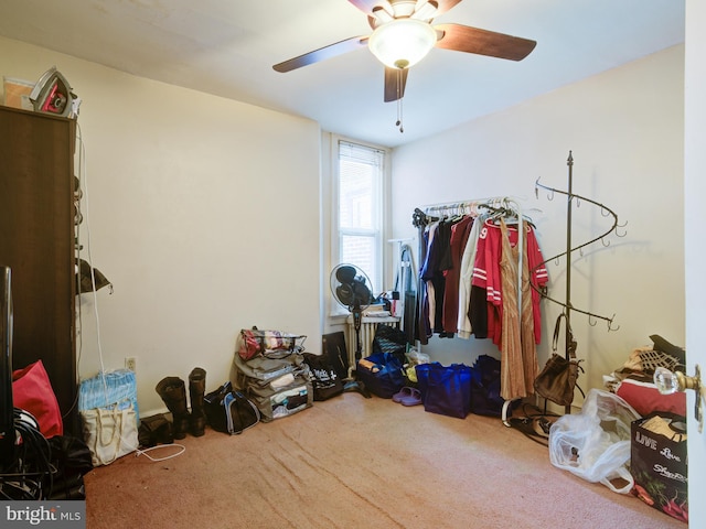 storage featuring ceiling fan