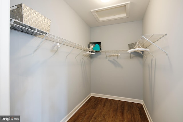 walk in closet with wood-type flooring