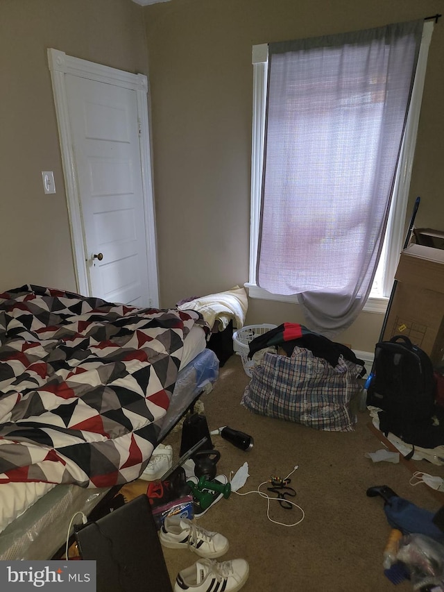 view of carpeted bedroom