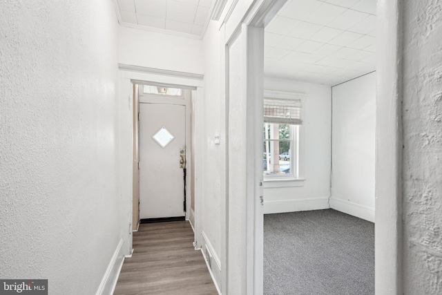 entryway with light hardwood / wood-style flooring