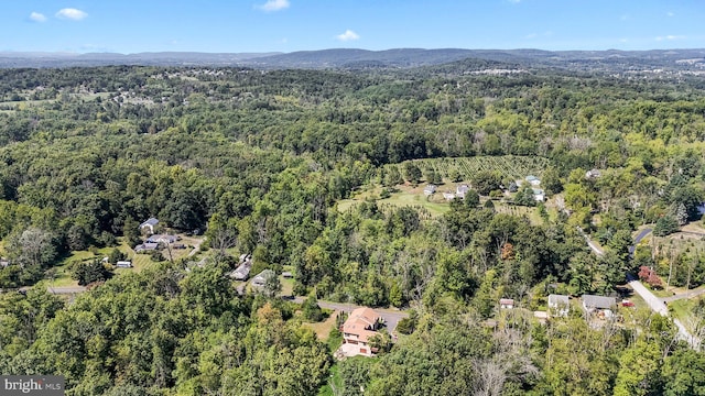 drone / aerial view with a mountain view