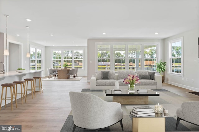 living room featuring light hardwood / wood-style floors and a wealth of natural light