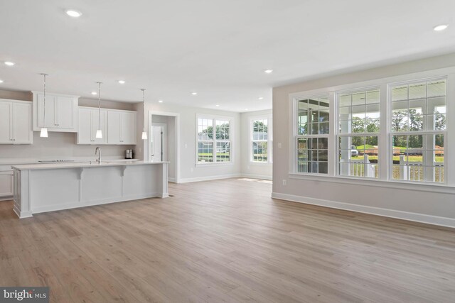 unfurnished living room with light hardwood / wood-style flooring