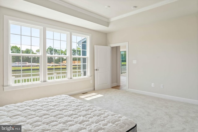 carpeted bedroom featuring ornamental molding and a tray ceiling