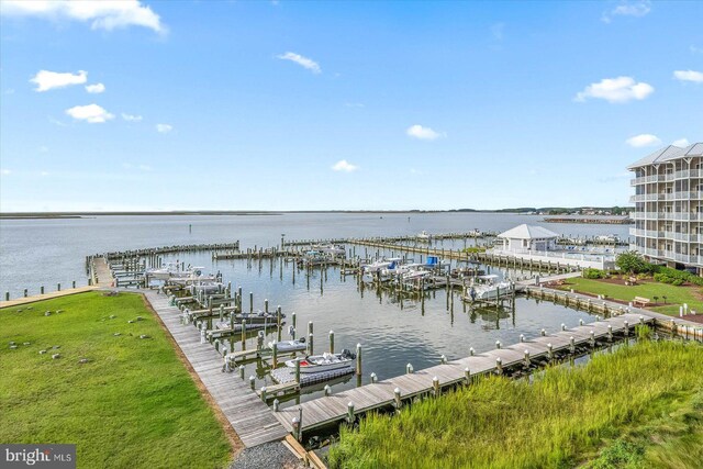 view of water feature with a boat dock