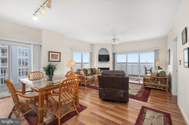 dining space featuring rail lighting, a textured ceiling, ceiling fan, and light hardwood / wood-style floors