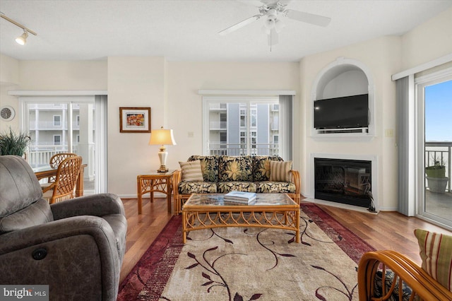 living room featuring ceiling fan, track lighting, and hardwood / wood-style floors