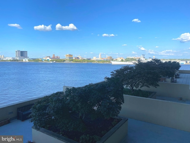 view of water feature