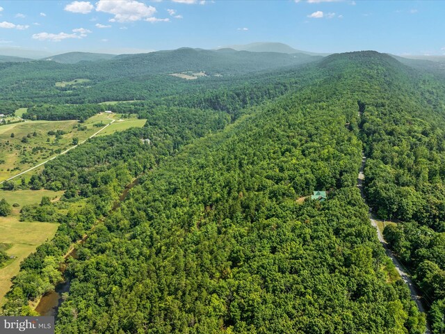 TBD Bear Garden Trail, Capon Bridge WV, 26711 land for sale