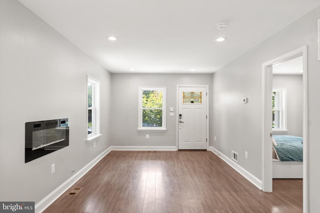 foyer entrance featuring wood-type flooring