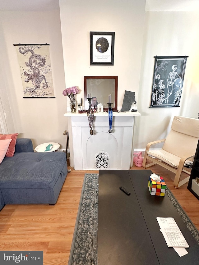 sitting room with light hardwood / wood-style floors