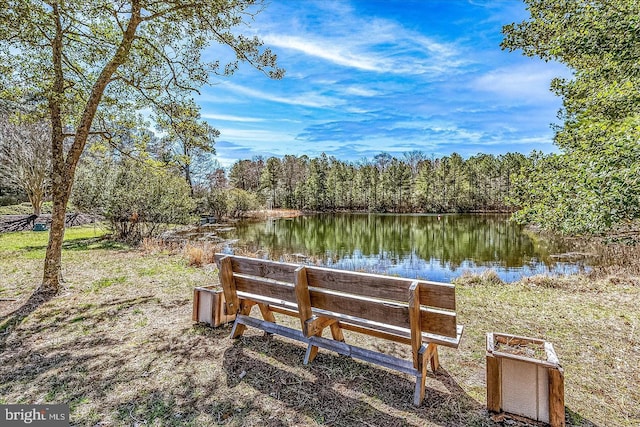 dock area featuring a water view