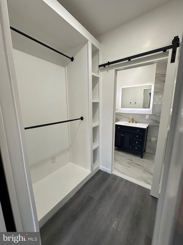 bathroom with hardwood / wood-style flooring and vanity