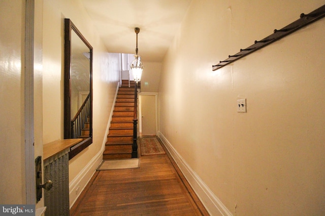 staircase with hardwood / wood-style floors