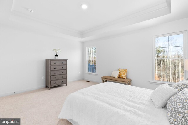 bedroom with a tray ceiling, crown molding, and carpet floors