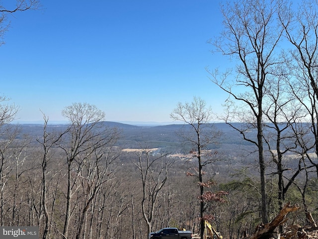 view of mountain feature