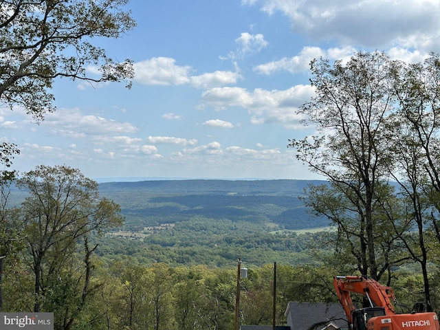 property view of water with a mountain view