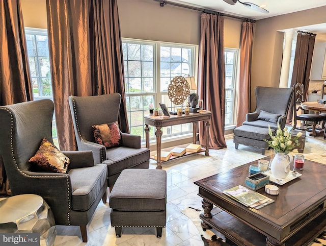 sitting room with plenty of natural light and ornate columns