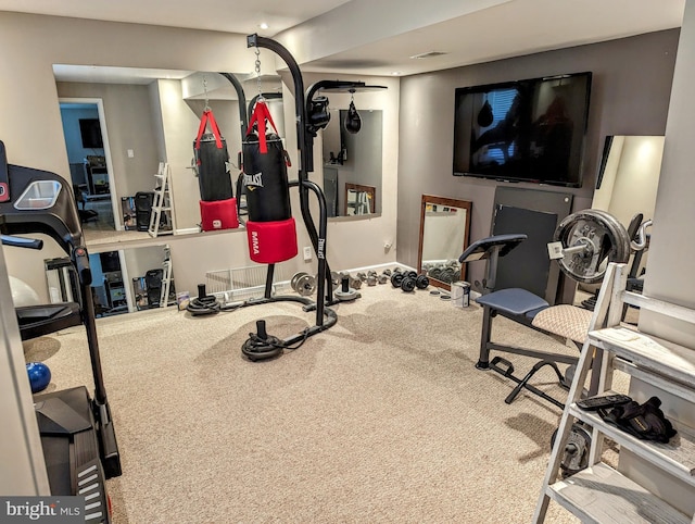 exercise area with carpet floors