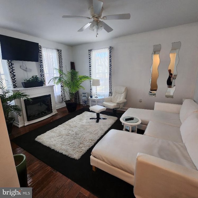 living room with ceiling fan and dark hardwood / wood-style flooring