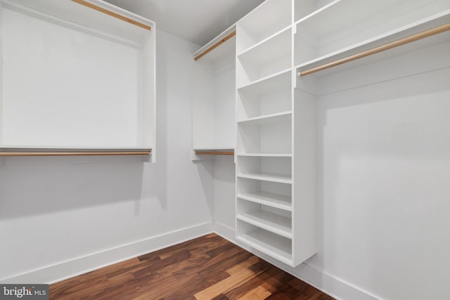 walk in closet featuring dark wood-type flooring