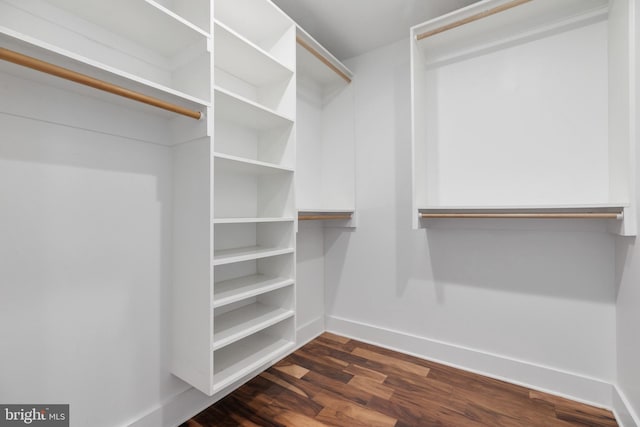 spacious closet featuring dark hardwood / wood-style floors