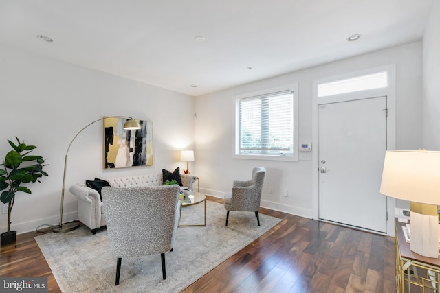 living room featuring dark hardwood / wood-style flooring