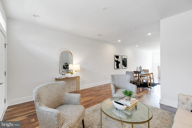 living room featuring wood-type flooring