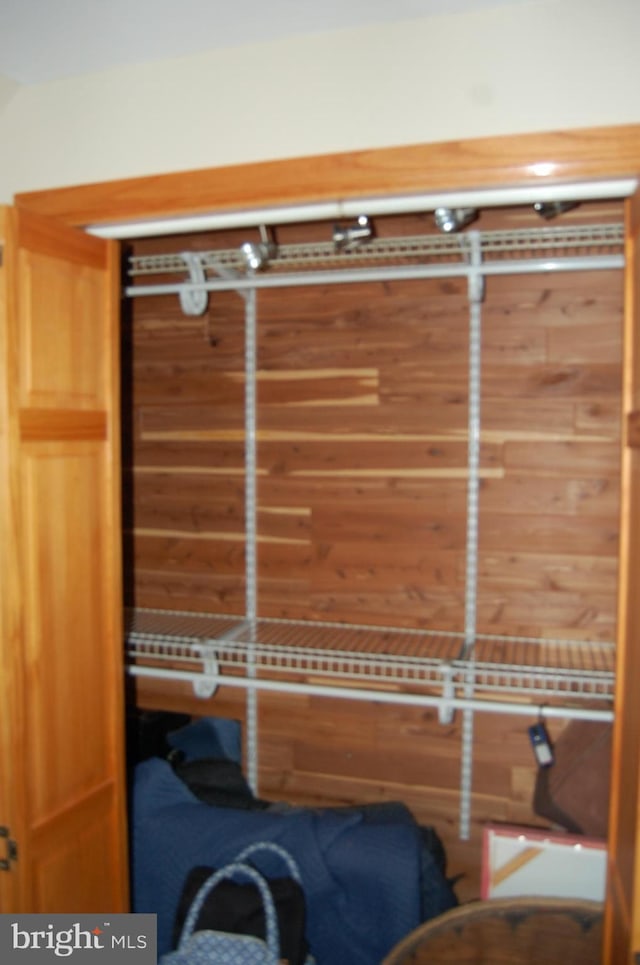 view of closet