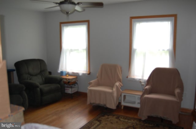 sitting room featuring ceiling fan, plenty of natural light, and wood-type flooring