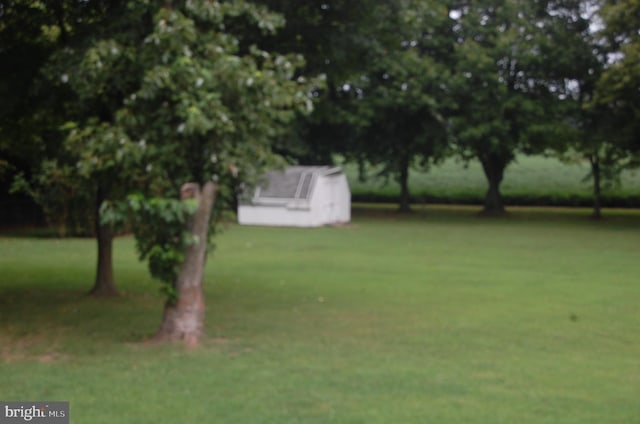 view of yard featuring a shed