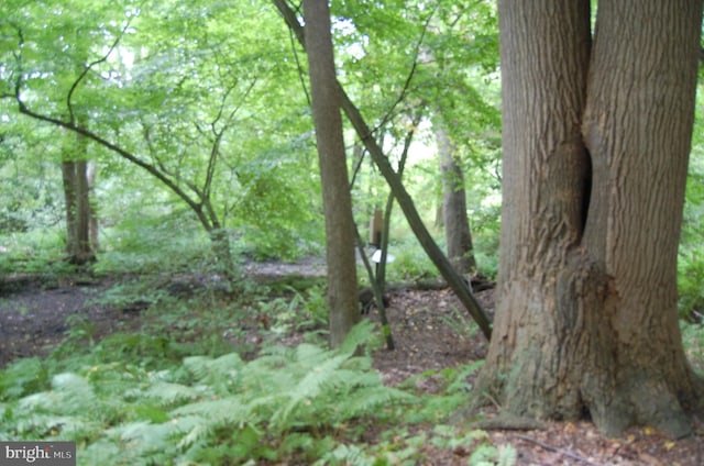 view of nature