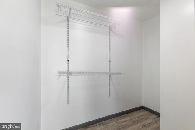 spacious closet featuring dark wood-type flooring