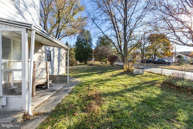 view of yard