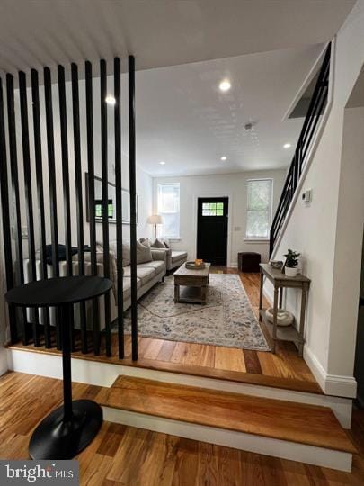 interior space featuring wood-type flooring and plenty of natural light