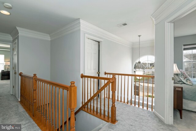 corridor with crown molding and carpet flooring