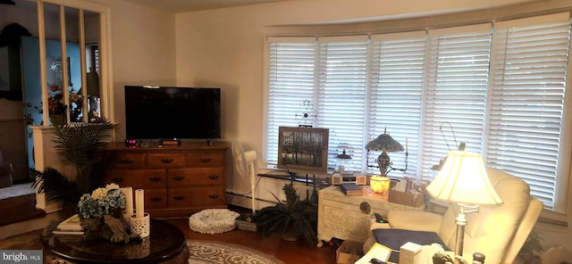 living room with baseboard heating and hardwood / wood-style floors