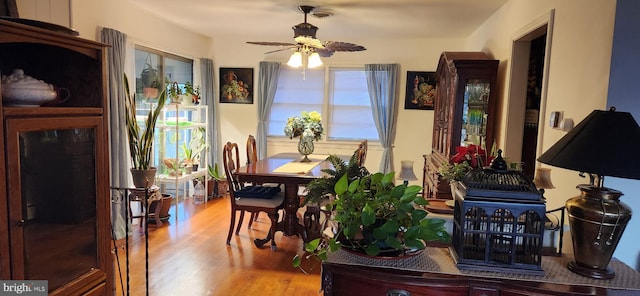 dining area featuring light wood finished floors and a ceiling fan